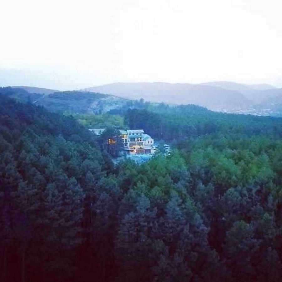 Hotel Surami Exteriér fotografie
